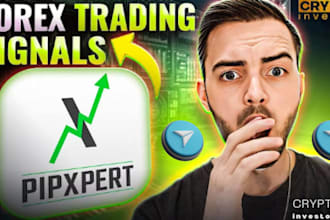 get bigger forex traders telegram subscribers, forex promotion run telegram ads