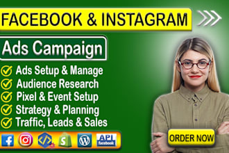 run facebook ads, meta ads, instagram, shopify ads campaign for leads and sales