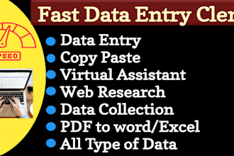 be your fast data entry clerk for excel, word, and google sheets