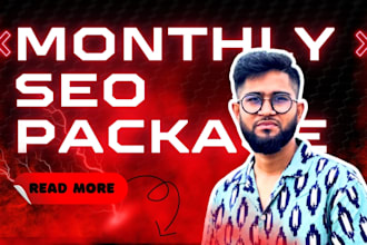 provide a complete monthly SEO package for your wordpress site