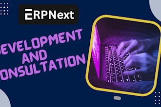 provide erpnext consultation and custom modules