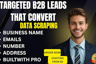 expertly scrape targeted b2b leads with builtwith pro and google maps scraping