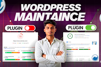fix core web vitals and monthly wordpress website maintenance