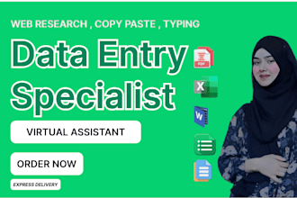 dodo data entry, web research, data collection, copy paste and excel work