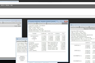 do statistical and econometric analysis
