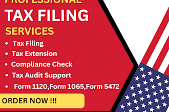 provide professional us corporate tax filing an e compliance service