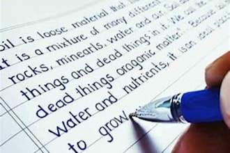 do hand writing assignment job, data entry, ms word job