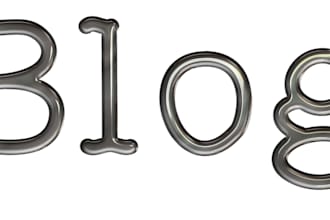write SEO blog posts and articles