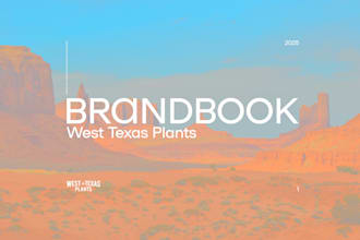 design a professional brandbook for your company
