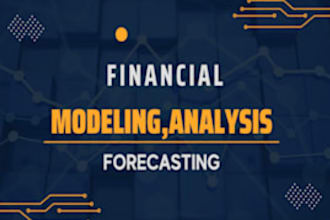 prepare financial projections, business plan, and forecasts