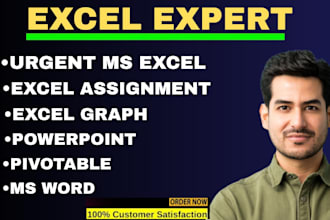 solve microsoft excel assignment, graph, pivot table, excel projects and task