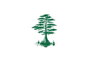 design professional bald cypress tree chat bot logo