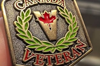 create veteran logo design for website, real estate, medical