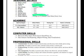 create a professional ats friendly CV, resume, or europass