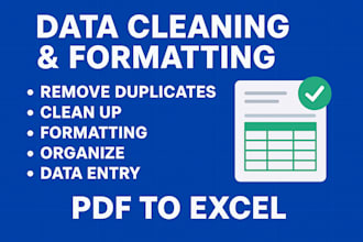 clean, format, merge, split excel data