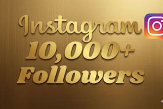 manage your author instagram and increase targeted followers