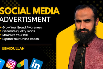 manage professional social media ads for meta