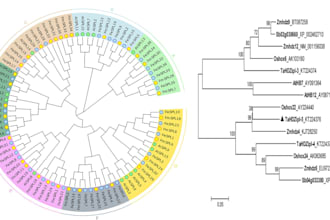 perform phylogenetic analysis, tree construction, and evolutionary study