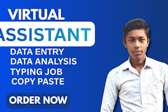 do data entry work