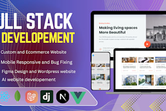 do custom website development as full stack developer