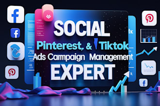 create facebook, tiktok and pinterest ads campaigns