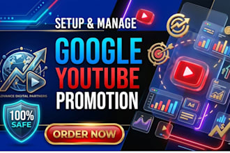 setup and manage youtube video ads google ad campaign with pmax expert