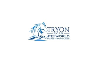 design fantastic equestrian games logo