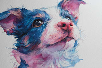 draw watercolor pet portrait