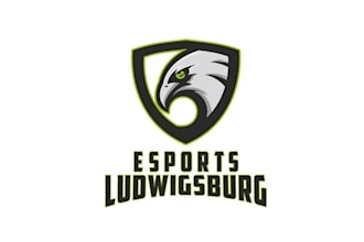 design top quality traditional e sports logo