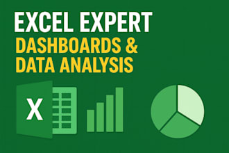 create professional excel dashboards, reports, and data analysis