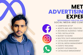 setup facebook and instagram ads for shopify store