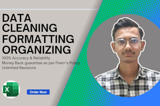 professionally clean excel or CSV data with accuracy