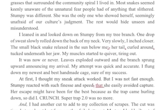 copyedit and proofread fiction to publishing standards