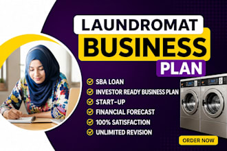 write a professional laundry, dry cleaning, or laundromat business plan