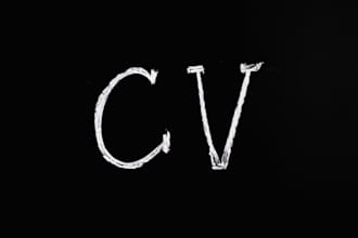 a professional CV writing for application, resume, and cover letter