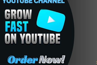 superfast organic youtube video promotion, channel growth
