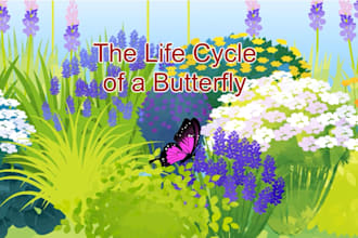 educational animation for learning and training