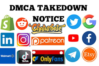remove and takedown reddit instagram shopify tiktok google fb under dmca