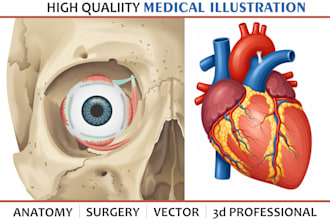 create accurate anatomy surgical and medical illustrations