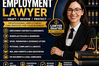 handle employment contracts, disputes, and legal advice