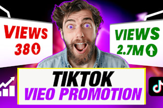 provide real tiktok video promotion using tiktok ads