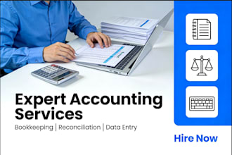 do excel bookkeeping, bank reconciliation and financial data entry for you
