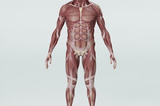 develop bucketie medical anatomy,glb site model,organ,animal part,skeleton stl