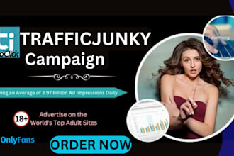 setup, optimize and manage your trafficjunky, exoclick and onlyfans ad campaign