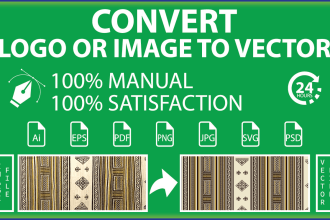 convert any image to vector within 3 to 6 hours