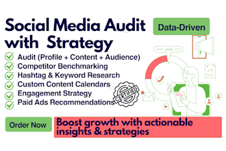 perform a data driven social media audit and strategy plan