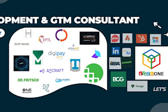 do business development, go to market, sales consultation