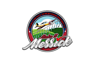 create exclusive and marvelous aviation logo design