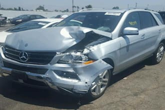 review 120 vehicle images daily for damage detection from copart iaa