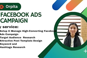 run optimized fb ads campaign targeting your ideal audience